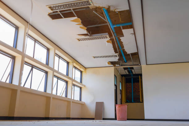 Best Water damage cleanup near me  in Surrey, ND
