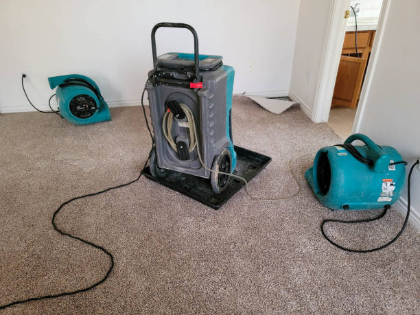 Best Emergency water damage restoration  in Surrey, ND