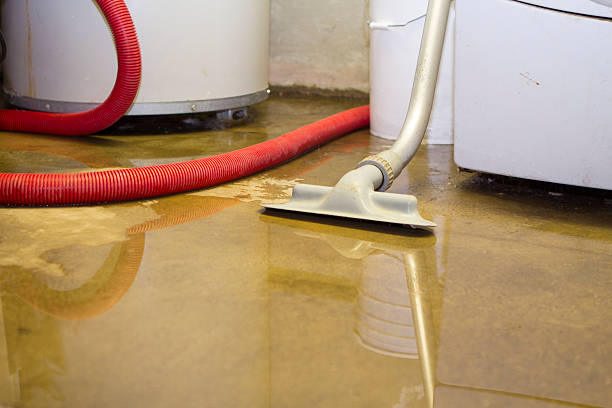 Carpet water damage restoration in ND