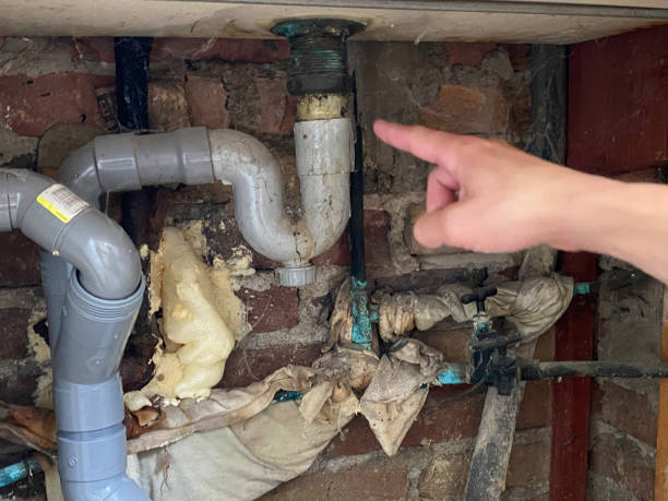 Best Fire Damage Restoration  in Surrey, ND