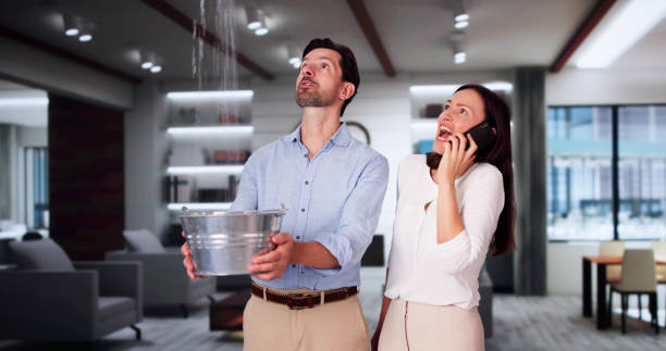 Best Professional water damage repair  in Surrey, ND