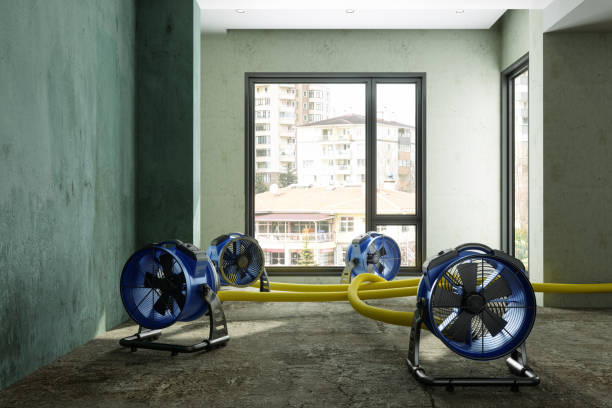 Best Mold removal after water damage  in Surrey, ND